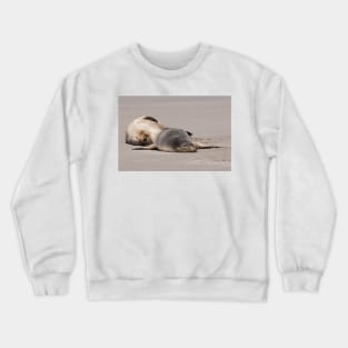 Siesta Time Crewneck Sweatshirt